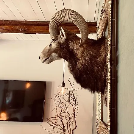 Nyaraló Sch-l-afbock