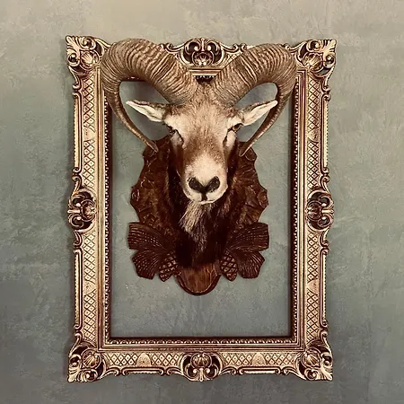 Sch-l-afbock *