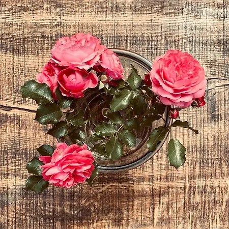 Sch-l-afbock Nyaraló *