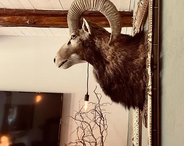 Holiday home Sch-l-afbock