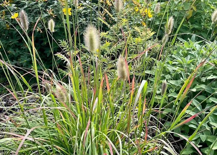 Holiday home Sch-l-afbock