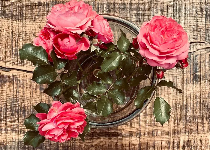 Sch-l-afbock Holiday home *