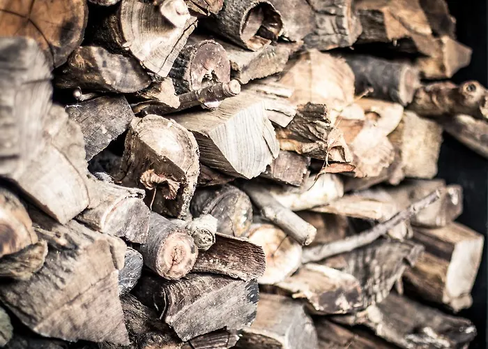 Holiday home Sch-l-afbock